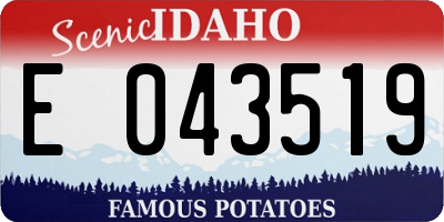 ID license plate E043519