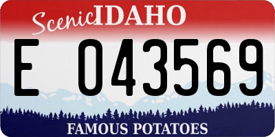 ID license plate E043569