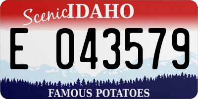 ID license plate E043579