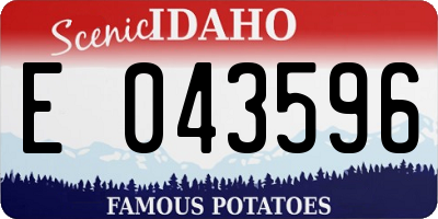 ID license plate E043596