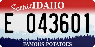 ID license plate E043601