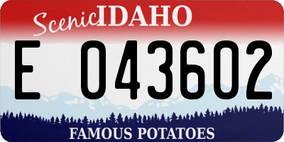 ID license plate E043602