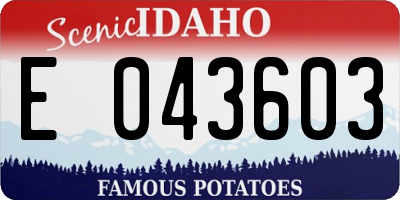 ID license plate E043603