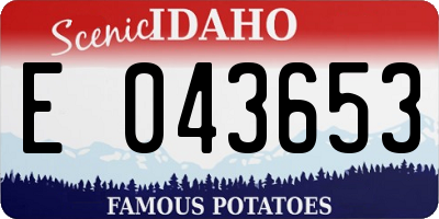 ID license plate E043653
