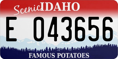 ID license plate E043656