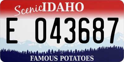 ID license plate E043687