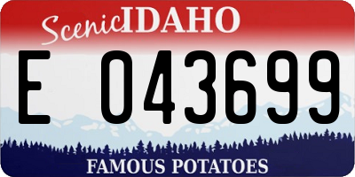ID license plate E043699