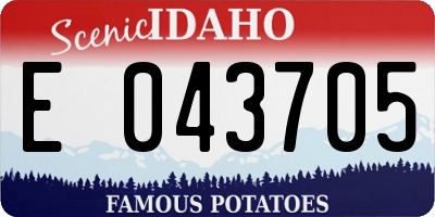 ID license plate E043705
