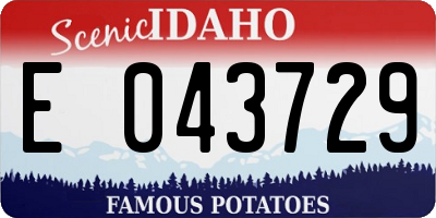 ID license plate E043729