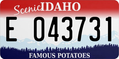 ID license plate E043731