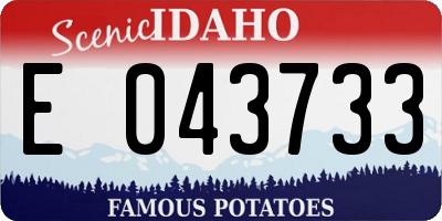 ID license plate E043733