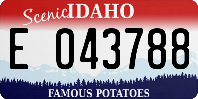 ID license plate E043788