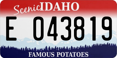 ID license plate E043819