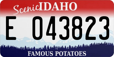ID license plate E043823