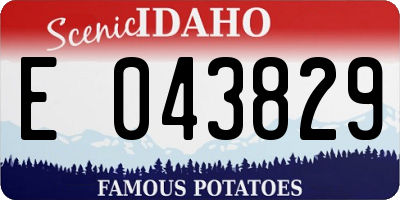 ID license plate E043829