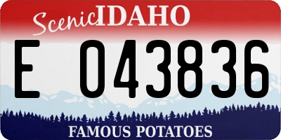 ID license plate E043836