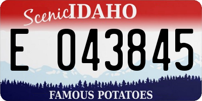 ID license plate E043845
