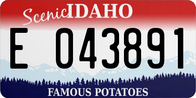 ID license plate E043891