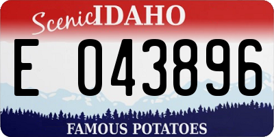 ID license plate E043896