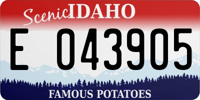 ID license plate E043905