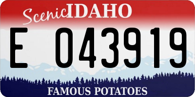 ID license plate E043919