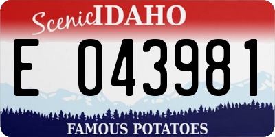 ID license plate E043981