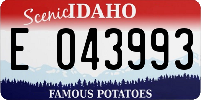 ID license plate E043993