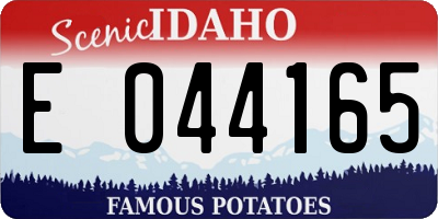 ID license plate E044165