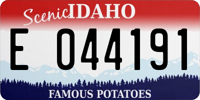 ID license plate E044191