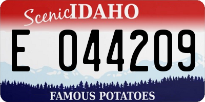ID license plate E044209
