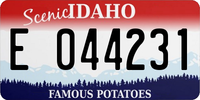 ID license plate E044231