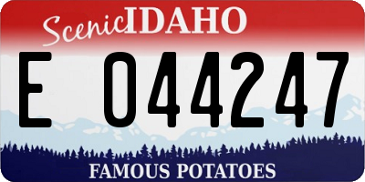 ID license plate E044247