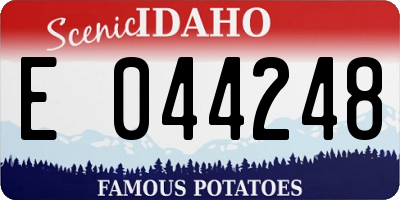 ID license plate E044248