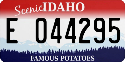 ID license plate E044295