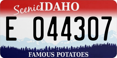 ID license plate E044307