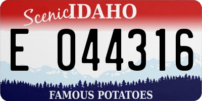 ID license plate E044316