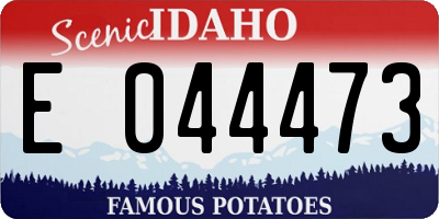 ID license plate E044473