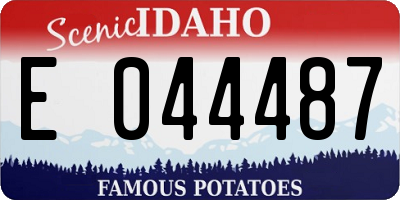 ID license plate E044487
