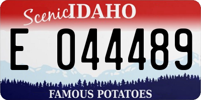 ID license plate E044489