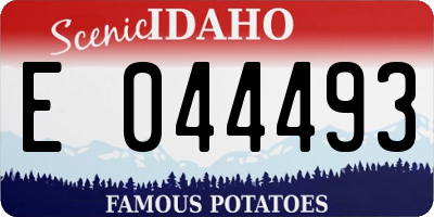 ID license plate E044493