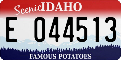 ID license plate E044513