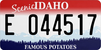 ID license plate E044517