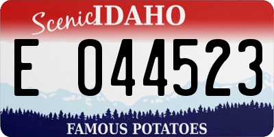 ID license plate E044523