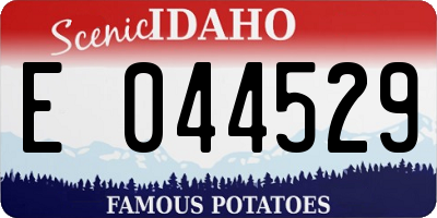 ID license plate E044529