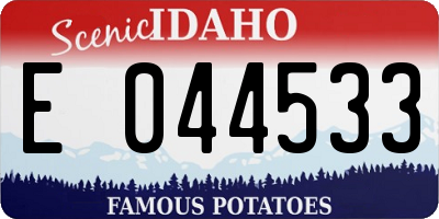 ID license plate E044533