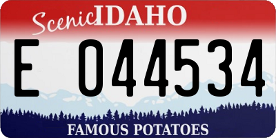 ID license plate E044534