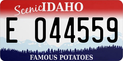 ID license plate E044559