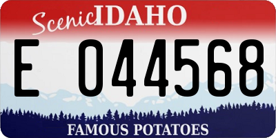 ID license plate E044568