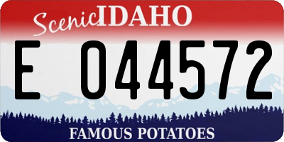 ID license plate E044572