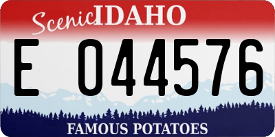 ID license plate E044576